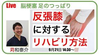 【脳梗塞 足のつっぱり】反張膝に対するリハビリ方法