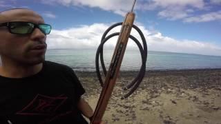 JOINTS SPEARFISHING TAHITI FRENCH POLYNESIA TESTS