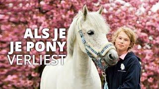 If you lose your pony | The story of Tessa