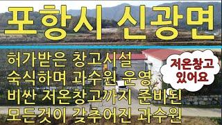 포항시 신광면 모든 것이 갖추어진 사과 과수원 매매