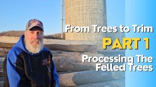 From Trees to Trim - Step 1: Processing The Felled Trees