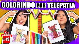 DESAFIO COLORINDO POR TELEPATIA #fimdeanoblog | Blog das irmãs