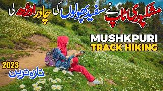 Mushkpuri Top | Hiking with Aliya Zainab | Mushkpuri Donga Gali Track Guide Vlog 2023 | Ammar Biker