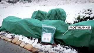 Frost Protection Bags - Blankets - Rolls - by Garden Armor - Frost Plant Covers