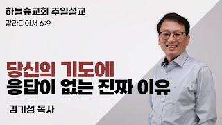 영화 속 한 장면에 속지 마세요. 진실은 이렇습니다.ㅣ갈라디아서 6:9ㅣ김기성 목사ㅣ주일설교ㅣ하늘숲교회ㅣ2024 12 02