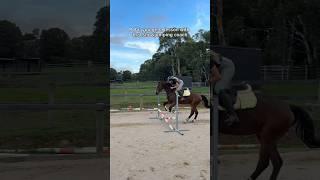 POV: you get a lesson with that showjumping coach #horse #equestrian #showjumping #showjumper