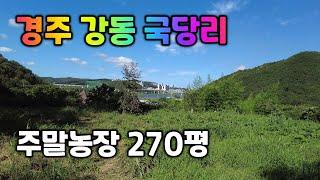 국당리 주말농장 | 019