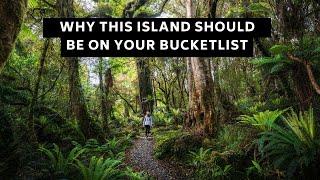 6 reasons you need to visit Stewart Island