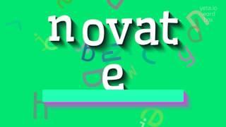 HOW TO SAY NOVATE? #novate