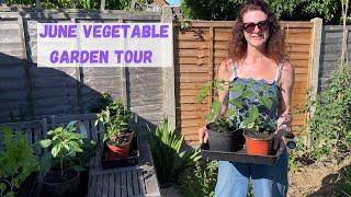 June Vegetable Garden Tour - Veg gardening For Beginners UK