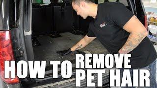 How to Remove Pet Hair From Your Car