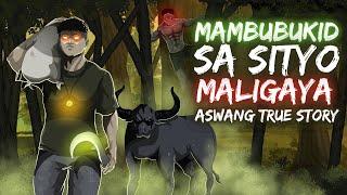 MAMBUBUKID SA SITYO MALIGAYA (Aswang True Story)