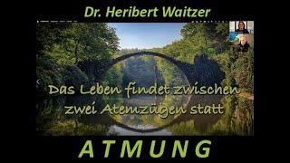 ATMUNG in all ihren Funktionen - Dr. Heribert Waitzer im Gesprächsvortrag mit Dr. Michelle Haintz