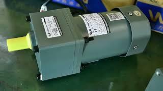 Wanshsin Micro Gear Motor