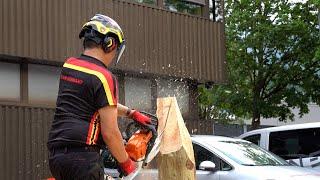 Chainsaw Carving at Protos Pfanner