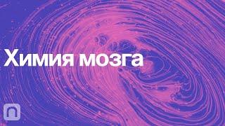 Химия мозга – курс Вячеслава Дубынина / ПостНаука