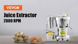 VEVOR Commercial Type Juice Extractor Stainless Steel Juicer Heavy Duty WF-A3000