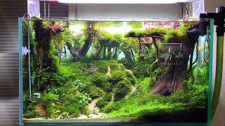 Aquatic aquarium forest layout