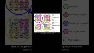 DNA Life Molecule: Fantastic Invention by Nature #shorts