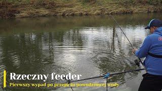 Rzeczny feeder. Pierwszy wypad po przejściu powodziowej wody.