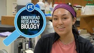 Biology Undergrad Research Examines New Species of Tapeworm