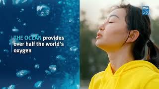 Protect the Ocean this World Ocean Day with the Marine Stewardship Council (MSC)