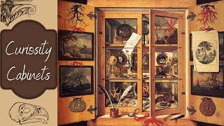 Museum History: The Curiosity Cabinet