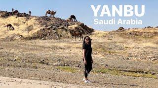 PLACES TO VISIT IN YANBU, SAUDI ARABIA  | Travel Vlog