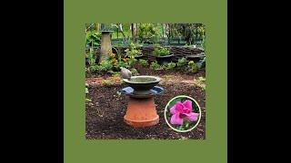 How to Create a Raised Bed Garden Step by Step - Jacki Kellum Garden Tutorial