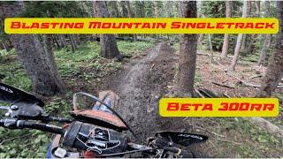 Crested Butte Singletrack 2024