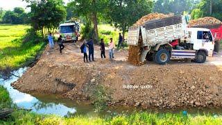 Nicely !! Dump truck 5T unloading stone Landfilling with Technique Skill Operator working push fill.