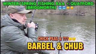 Barbel & Chub Fishing - River Severn BAA Quatford (Bridgnorth)