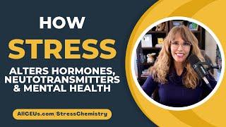 How Stress Alters Hormones, Neurotransmitters & Mental Health