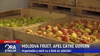 MOLDOVA FRUCT, APEL CĂTRE GUVERN