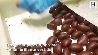 ​ FRUTAS DE ARAGÓN, un brillante dulce para las Fiestas del Pilar