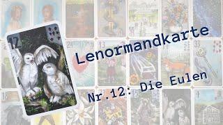 Lenormand Kartenlegen lernen: Lenormandkarte Nr  12: Die Eulen/Die Vögel