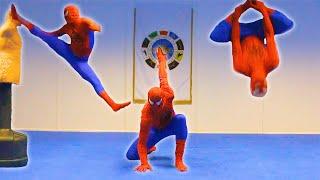 TAEKWONDO SPIDERMAN in Real Life | Kicks & Flips