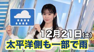 お天気キャスター解説 12月21日(土)の天気