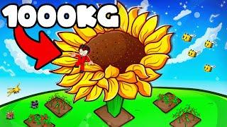 Growing the Worlds Biggest Sunflower Using 300+ Exotic Flower Seed Packs in Roblox Grow a Garden