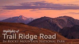 Experience Trail Ridge Road: Visitor's Guide & Highlights