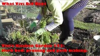 Vivi's Kitchen Garden 153: Herb bed: pruning & path making.