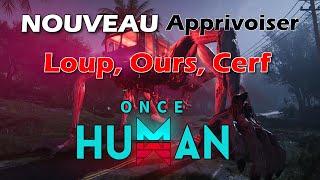 Once human : Apprivoiser les loups, ours et autres