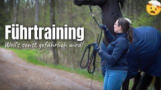 Wenn Spazieren gehen gefährlich wird! | Führtraining 