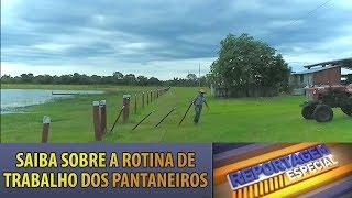 Reportagem Especial: A rotina dos trabalhadores rurais do Pantanal