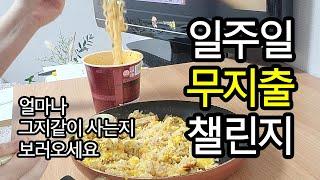 [절약vlog/가계부이로그] 반지하 독거 일주일 무지출 챌린지