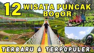 12 Wisata di Puncak Bogor Terbaru dan Viral 2024