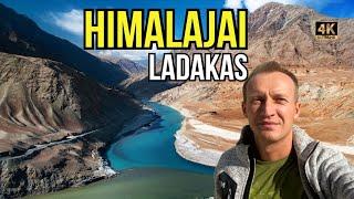 Himalajai (1). Indijos Ladakas: nuostabi gamta ir Tibetietiško Budizmo vienuolynai