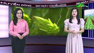 365 ngày chuyển động 18/07/2024 - Tin tức nông nghiệp | Lâm Đồng TV #thờisự