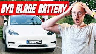 ÜBERRASCHT von der Ladeleistung! BYD vs. LG Akku Lade-Vergleich ️