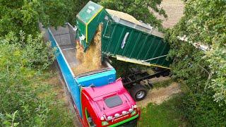 Maisernte 2023! Maishäckseln und Überladen auf LKWs mit Bollmer Umwelt. Claas/ Scania/ MAN